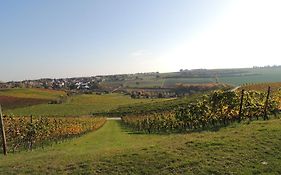 Weingut Seck